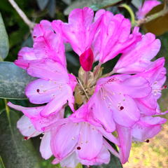 23-06-03 17-14-44 5820